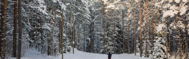Kuhu minna, mida teha? Edasi kultuurisoovitusi – jaanuar