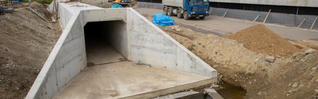 Teedeinsener: Rail Baltica riskitase on nii kõrge, et seda võiks võrrelda kasiinosse minekuga