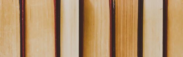 Taani kaotab raamatutelt käibemaksu, et rohkem inimesi lugema meelitada