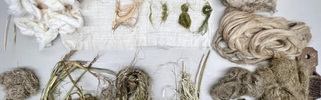 Müürilehe kultuurikalender detsembris – mitte ainult jõulud