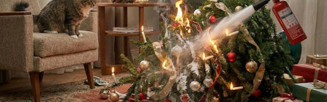 Ettevaatust pühade ajal: kärssavad  jõulutuled, kukkuvad ja süttivad kuused…