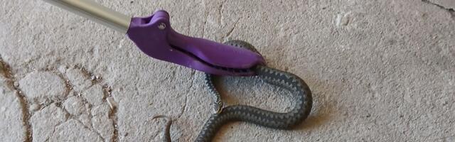 Lõuna-Eesti päästjad said väljakutsed Tartust, Jõgeva-, Võru- ja Viljandimaalt