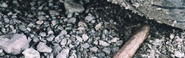 ESTOSTEENID ⟩ Kümnes. Hingevalu