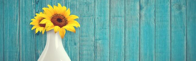 Saarde vald ootab ettepanekuid parimate tunnustamiseks