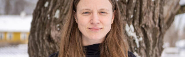 Kunstisaar  talvel ka