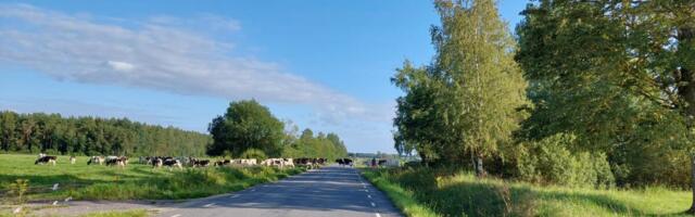 Pank: Eestis luuakse maal rohkem uusi edukaid firmasid kui linnades