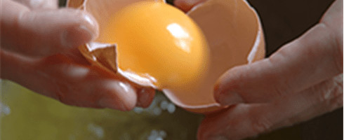 KOLESTEROOL – mis see on ja kuidas vähendada halva kolesterooli hulka?