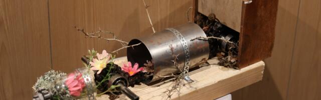 Haapsalu gümnasistid mõtisklesid mõttetuse üle