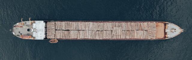 Vene saematerjali vool Soome pole lõppenud