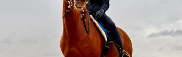 Hiiumaal aretatud hobune  ratsutas MM-il Eesti parimaks