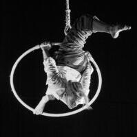 Kloune ja köiel kõndivaid karusid ei tasu oodata