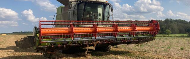 Märg vili ja üüratud kuivatuskulud neelavad põllumeeste kasumi