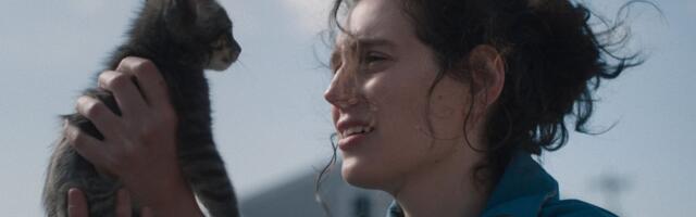 Sorry, Baby review: Eva Victor wins Sundance with brilliantly awkward comedy