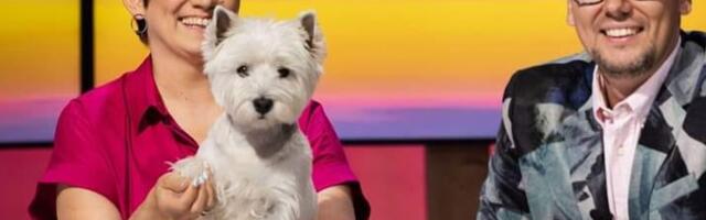 Eesti kõige nunnum telestaar. Nublu omanik Kajar Kase_ ta on stuudios nii palju viibinud, et see juba tema mugavustsoon