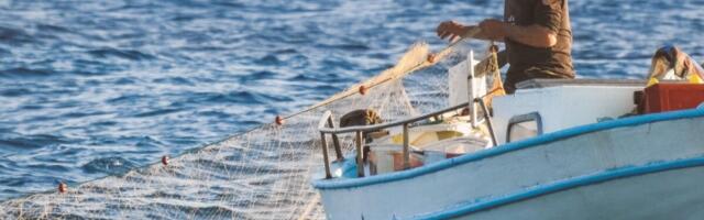 Kalandusettevõtetele avaneb 2 miljoni eurone innovatsioonifond