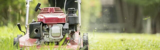 Većina ljudi kosi travu u pogrešno vreme: Zbog ove greške travnjak žuti i propada