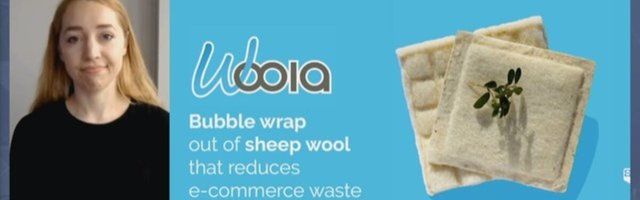 Eesti roheidufirma toodab lambavillast pakkematerjali