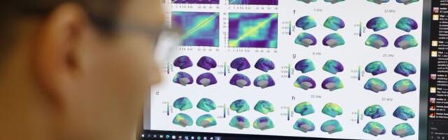 Soomes valmis depressiooni raviv arvutimäng