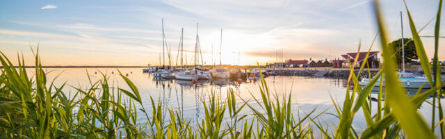 Vald loovutab 600 000 euro eest vara