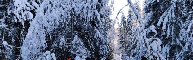 SÜNNIPÄEVAMATK | Muku pidas matkapidu