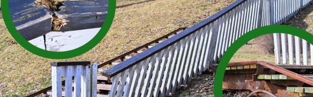 Viljandi hakkas Trepimäe taastamiseks müüma 500 euro eest nimelisi trepiastmeid