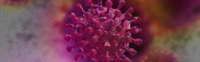 Doktoritöö seab kahtluse alla hõbeda viirusvastase toime