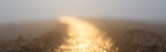 Kaljukitse 2026. aasta horoskoop räägib rahulikumast tempost, parematest valikutest ja sisemisest kindlusest