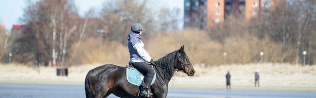 FOTOD: pühapäev tõi Stroomi randa senisest vähem inimesi