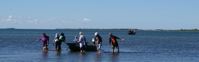 HIIU FOLGI LOODUSRETKED VIIVAD HEINLAIULE, KALESTESSE JA SÕRUOTSA KÜLADESSE