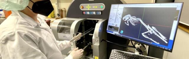 Helsingis hakatakse kudesid uurima kaht  pilditehnikat kombineerides