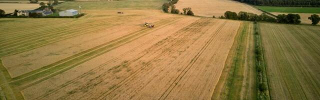 Maamaks 2026: suurtõusust pääsevad paljud, kuid ettevõtjate maksukoormus kasvab