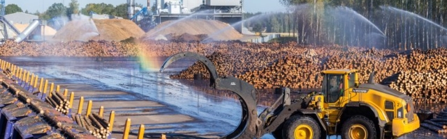 Uuring: puidutööstus on Eesti kaasaegseim tööstusharu, aga vaevleb tööjõupuuduses
