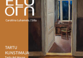 Caroliina Luhamets Tartu Kunstimajas