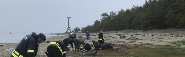 Reostusoht Läänemerel on kasvanud peaaegu kolm korda