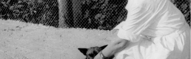 Miks inimesed ei suuda kõiki metsloomi taltsutada? Teadlased leidsid vastuse