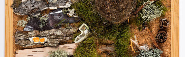 Vabakooli laste töö vanast  metsast saab ELFi auhinna