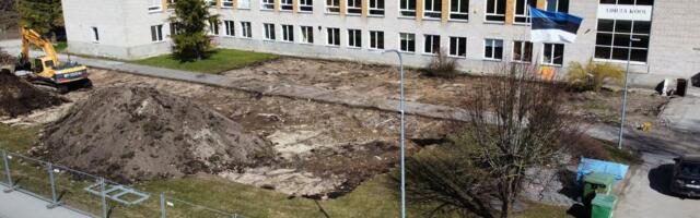 Monika Hale: kuidas ma ei ole asjaosaline? Lääneranna lennupuude raiumine oli vaid osa kohalike vaigistamisest