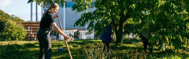 Maarjavälja hooaja lõpetavad ühised niitmistalgud koos hobune Hermoniga