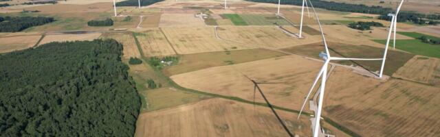 Tehisintellekti laine on sütitanud rohepalaviku: meie piirkonna taastuvenergiaprojektid on taas välisinvestorite huviorbiidis