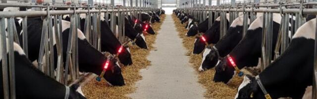 Eesti projektid jõudsid Euroopa maaelu konkursi finaali