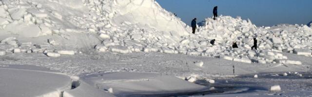 Piltuudis: RÜSIJÄÄ RAEKÜLA ALL