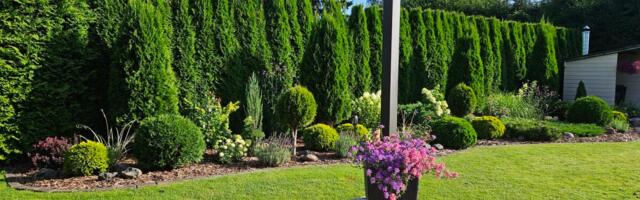 Varasügis on ideaalne murukülviks – mida teha, et muru kevadel lopsaks oleks?