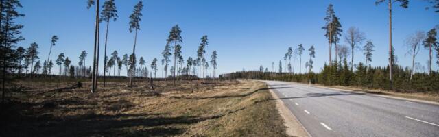 ERISAADE | Maailma riigid lubasid lõpetada metsade hävitamise. Kas lageraietega on nüüd ka Eestis lõpp?
