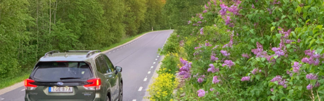 Mais oli uute sõiduautode turul märgata rõõmsamaid meeleolusid