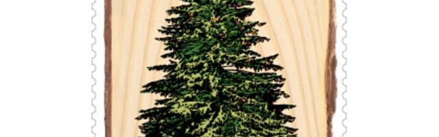 Ilmub harilikule kuusele pühendatud mark