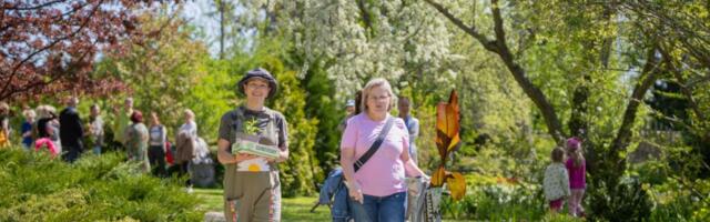 Aiapäeva töötubades löödi Suuremõisa loss muuseumiööks lille