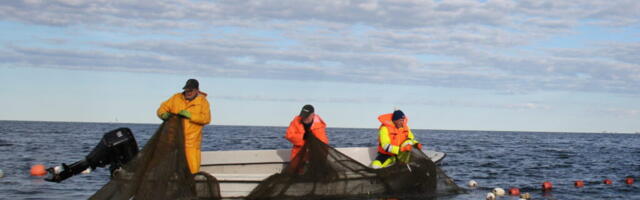 JUHTKIRI | Jõuga surumine sihile ei vii