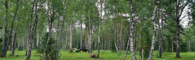 RMK otsib enampakkumistega rentnikke ligikaudu 4600 hektarile niitudele ja karjamaadele