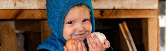 VÄLIMÄÄRAJA | Kas sina tunned erilisi mune? Hobitalud peibutavad just nendega külalisi