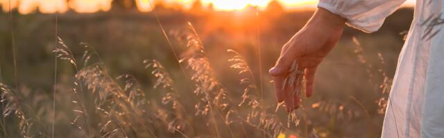 Horoskoop : milline päev toob sinu tähemärgile sellel nädalal õnne?